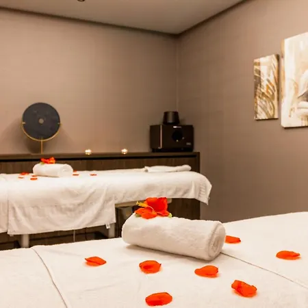 Otel Der Valk Congres & Mons