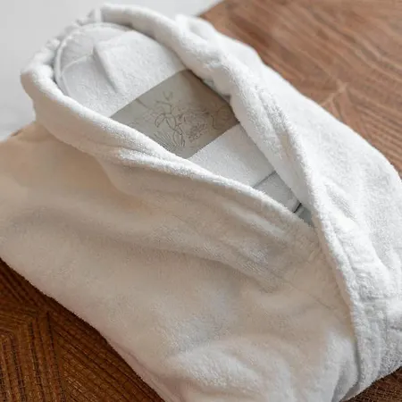 ホテル Der Valk Congres &